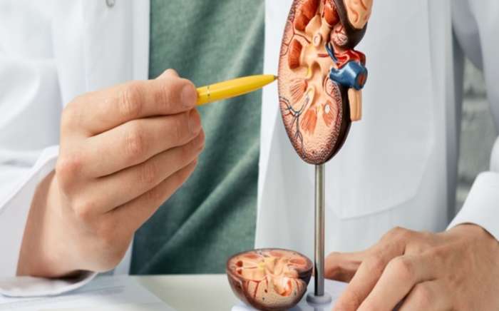 腎結石多久能排出來